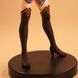 Miyamoto Musashi - Fate/Grand Order (Saber (Servant Figure) ver.)
