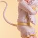 Nakano Ichika - 5-toubun no Hanayome (Nekomimi Hoodie (Fascinity Figure) ver.)