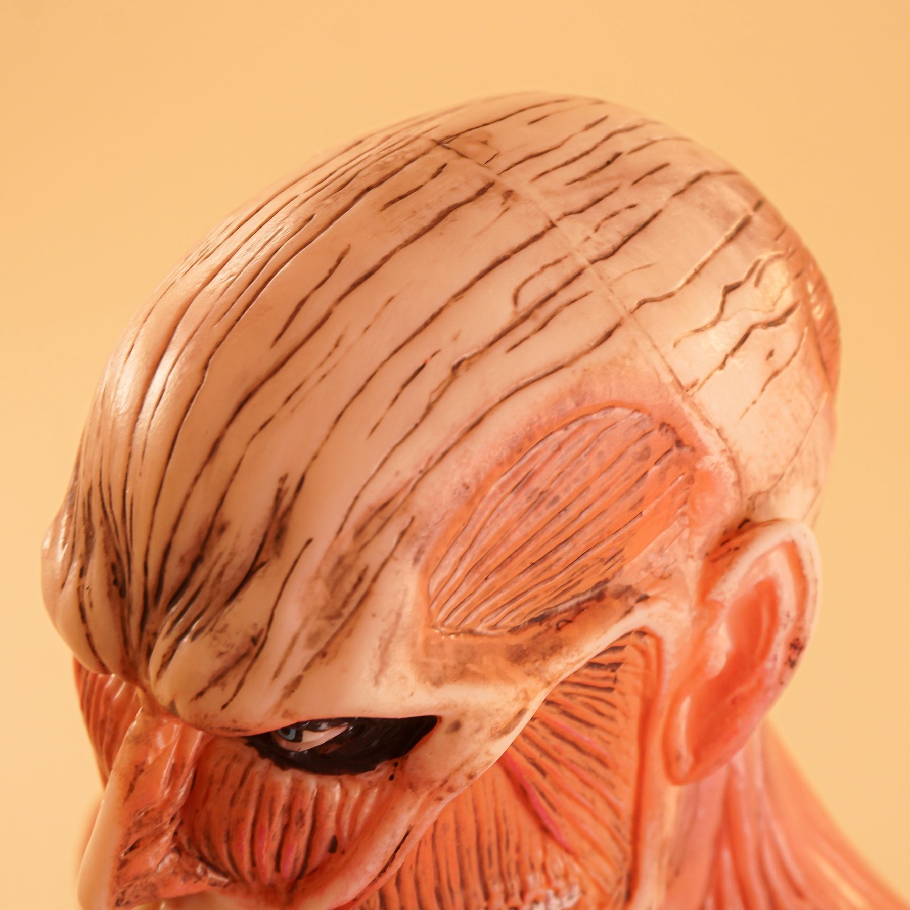 Chou-ougata Kyojin - Shingeki no Kyojin (Bust, PM Figure ver.)