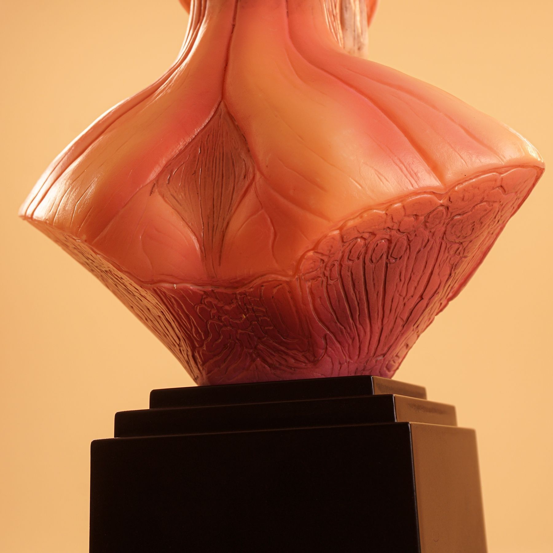 Chou-ougata Kyojin - Shingeki no Kyojin (Bust, PM Figure ver.)