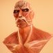 Chou-ougata Kyojin - Shingeki no Kyojin (Bust, PM Figure ver.)