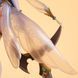 Lincia - Original Character (Elf Mura, Antenna Shop Limited Edition, Scale 1/6 ver.)