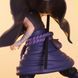 Uchiha Sasuke and Uchiha Itachi - Naruto Shippuuden (Combination Battle ver.)